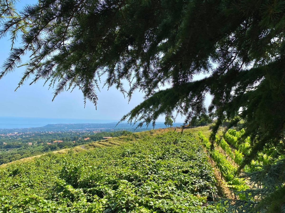 Tenuta Kiwi Dell'Etna Milo Buitenkant foto