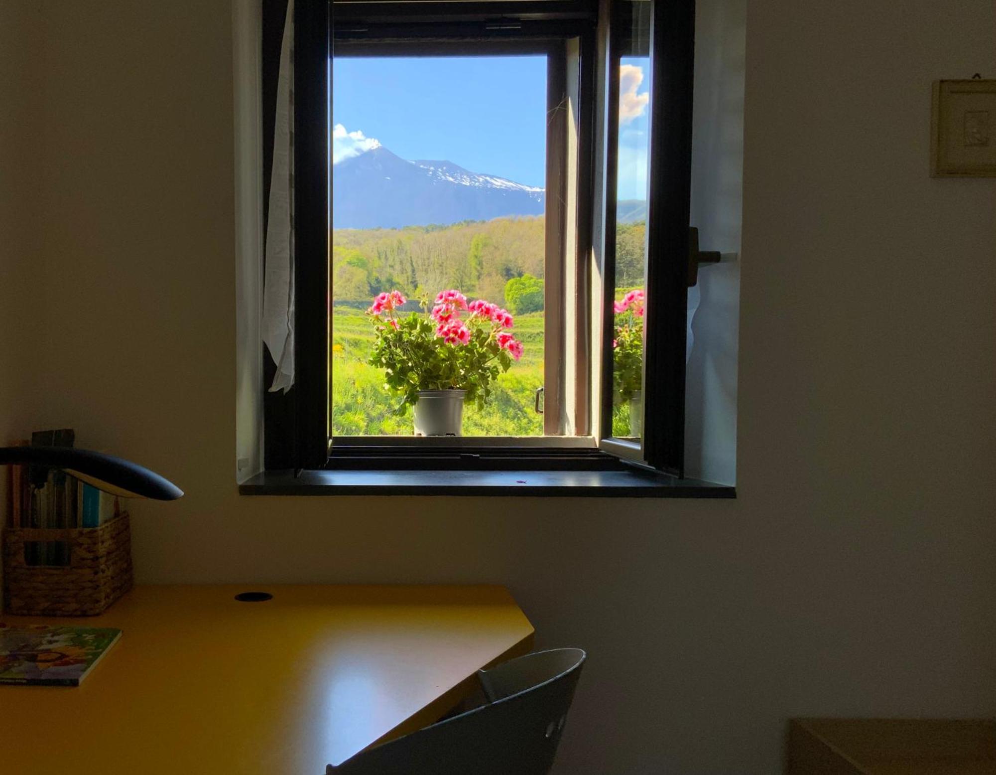 Tenuta Kiwi Dell'Etna Milo Buitenkant foto