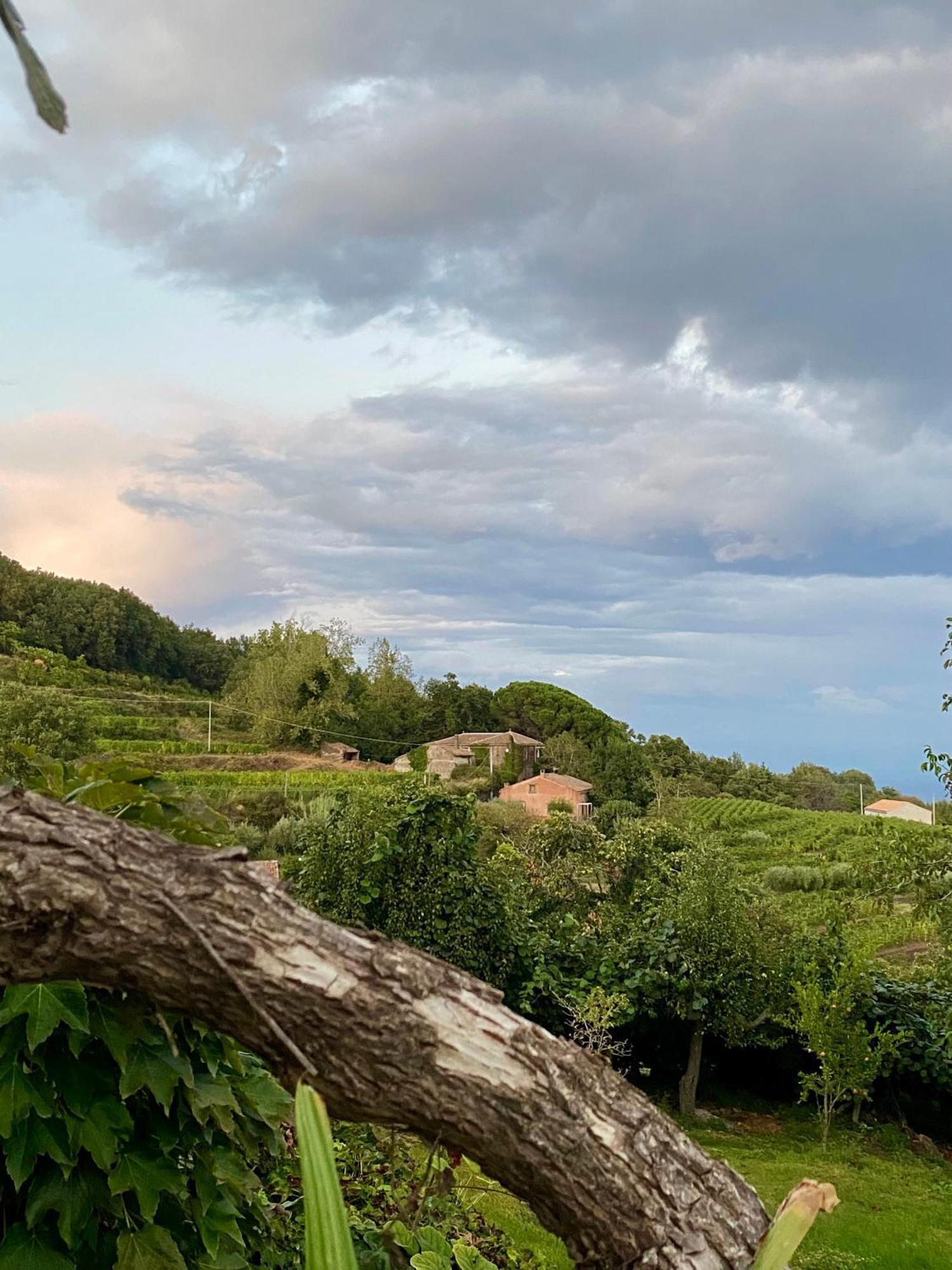 Tenuta Kiwi Dell'Etna Milo Buitenkant foto